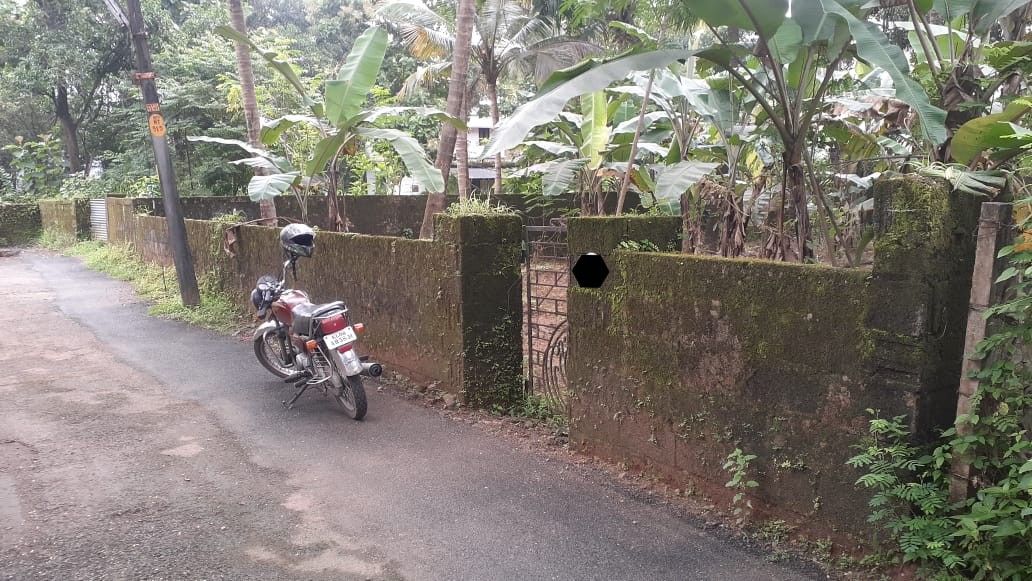 kalathode 10 cent
