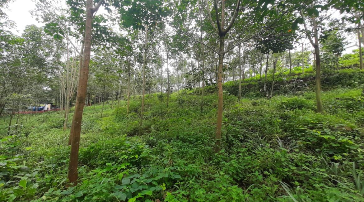 WhatsApp Image 2022-08-23 at 12.15.30 PM